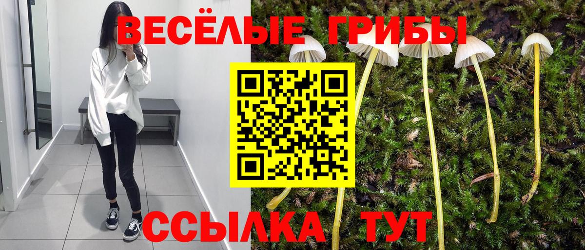 Галлюциногенные грибы Magic Shrooms  купить закладку  Вход с VPN  Учалы  Галлюциногенные грибы GOLDEN TEACHER 